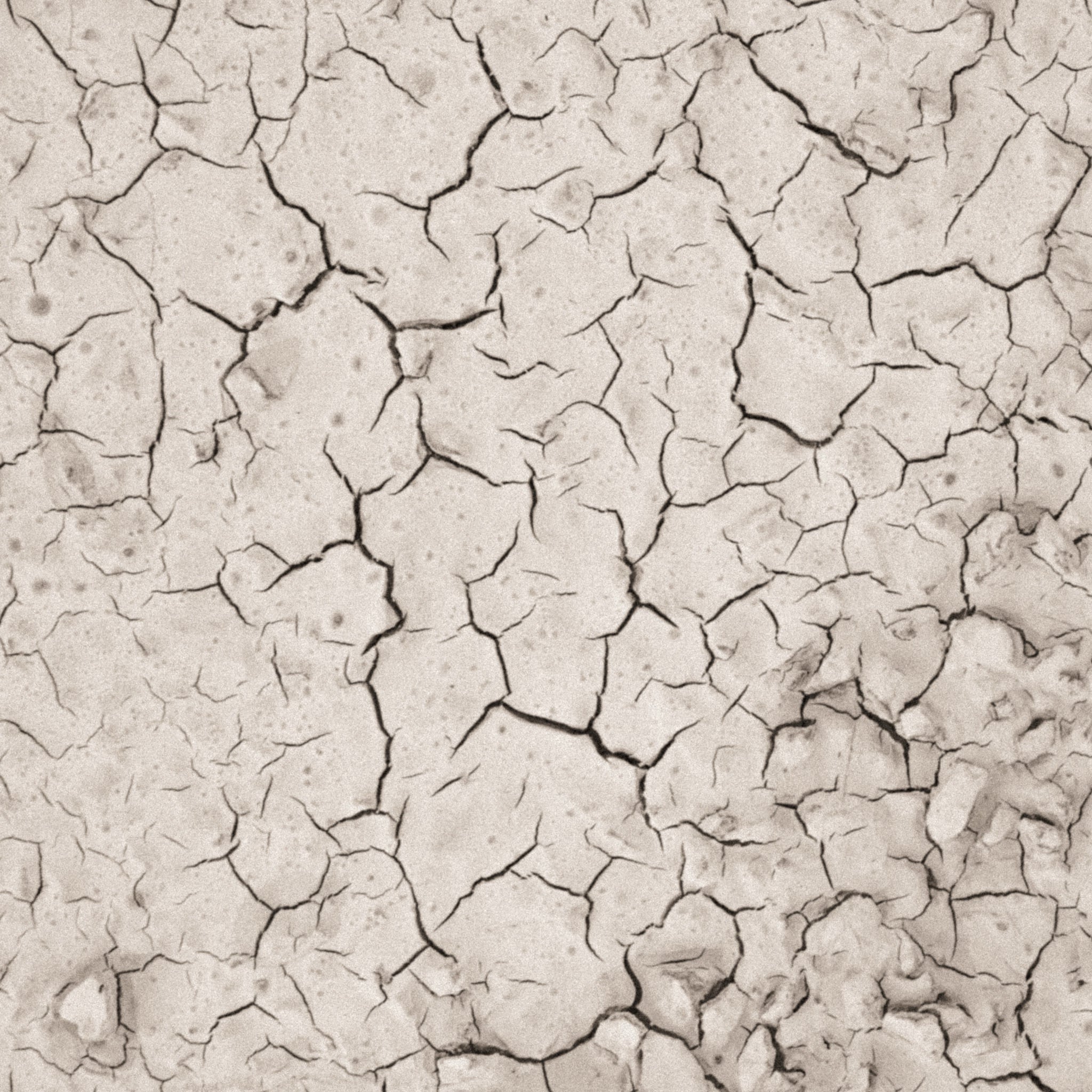 White clay mask ingredient