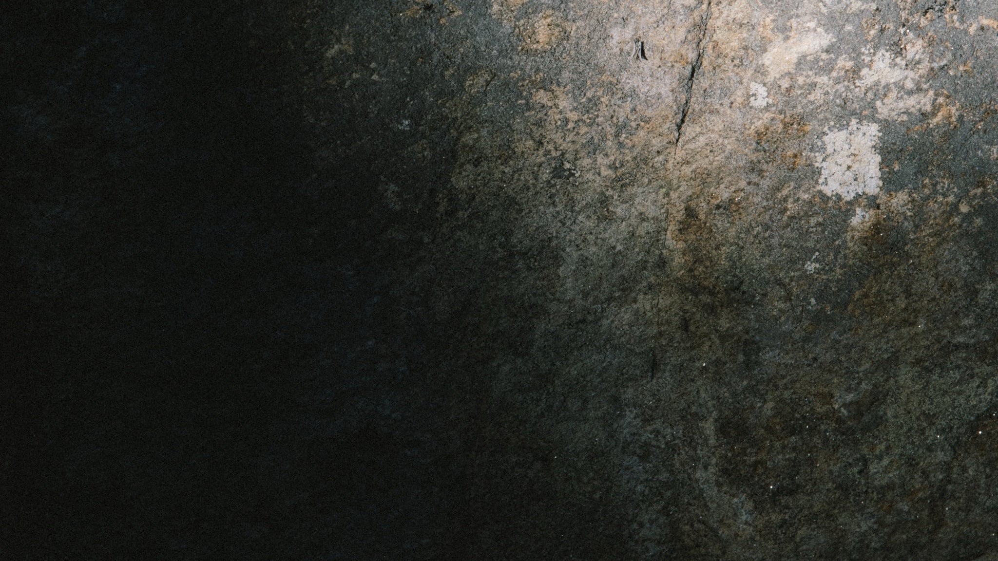 About us background