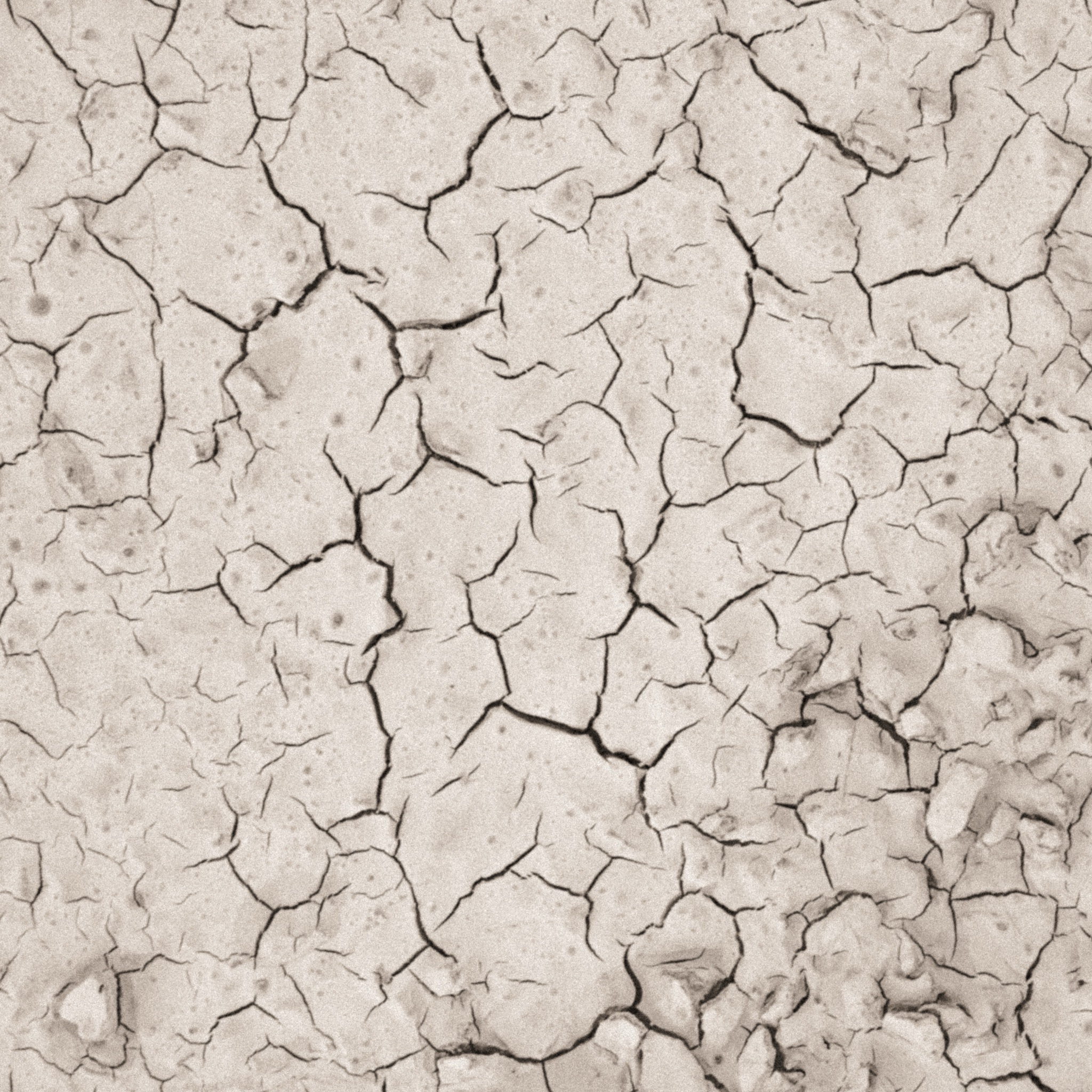 White clay mask ingredient